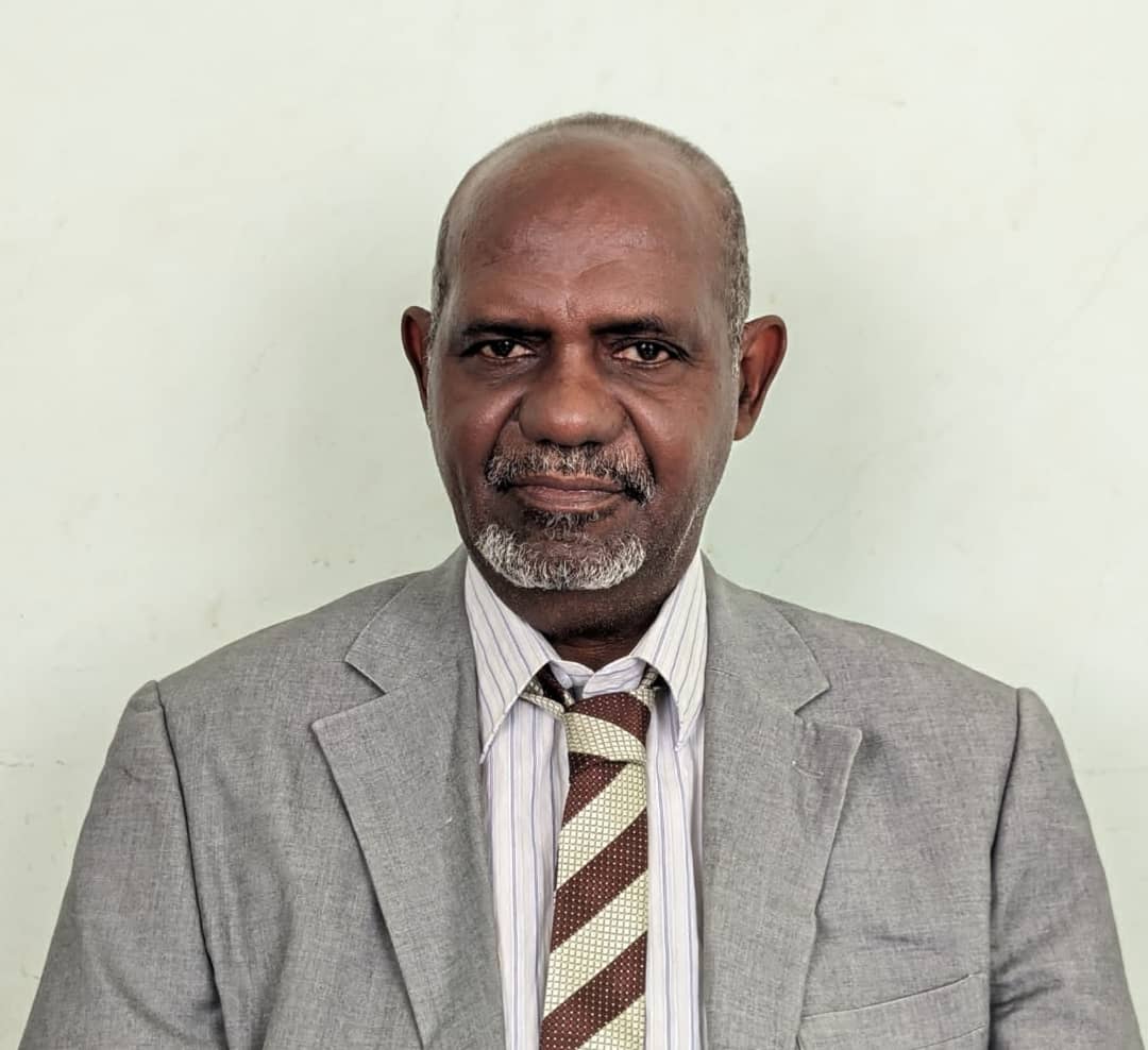Imad Eldin Mohammed Taj Eldin 